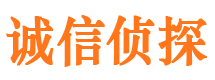 锡山市私家侦探